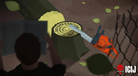 Express Investigation - ભાગ ચાર | વળતર આપતું વનીકરણ ન તો વળતર આપી રહ્યું, કે ન તો જંગલો: 60% ભંડોળ બિનઉપયોગી