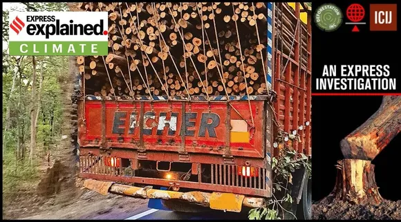 આપણા જંગલો ખતરામાં : અહીં જાણો ભારતમાં જંગલો કેવી રીતે થાય છે પ્રમાણિત