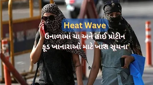 હીટ વેવને લઈ કેન્દ્ર સરકારની એડવાઈઝરી, ઉનાળામાં ચા અને હાઈ પ્રોટીન ફૂડ ખાનારાઓ માટે આપી ખાસ સૂચના