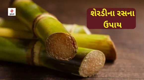 sherdi ras na upay, sherdi no ras lord shiva