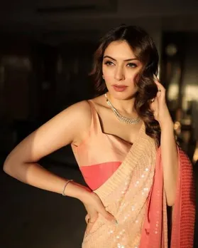 Hansika Motwani | South Movie Actress News in Gujarati