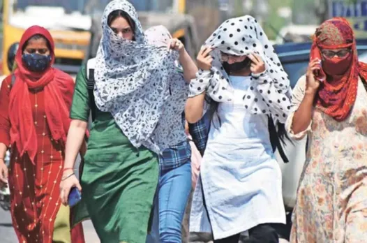 આપણી ત્વચા સૂર્યથી વધુ પ્રભાવિત થાય છે. આ કારણે ઉનાળામાં ઘણા લોકો ત્વચાની સંભાળ પર ધ્યાન આપે