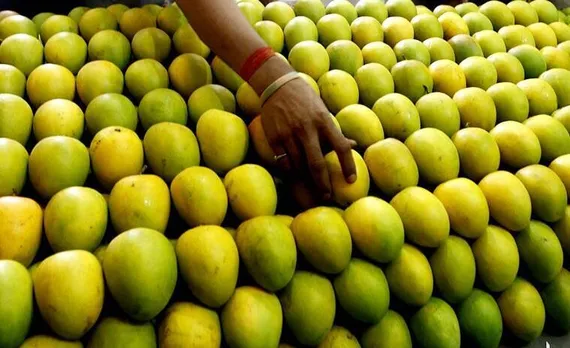 Summer Special : chemical free mango