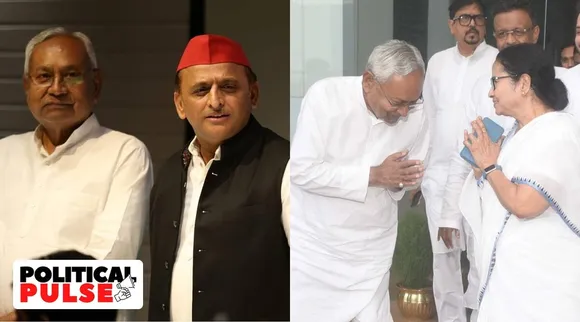 nitish kumar, mamata banerjee, nitish mamata meet, opposition unity