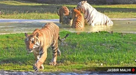 Karnataka Interesting Facts