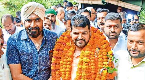 Brij Bhushan Sharan Singh, Brij Bhushan, Wrestling Federation of India