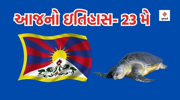 Tibet flag Turtle