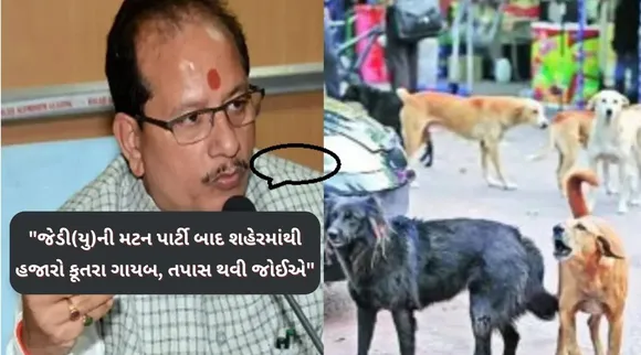 jdu meat and rice party