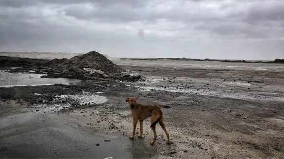 Cyclone Biparjoy Landfall and Heavy Rain, Express photo by Nirmal Harindran
