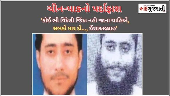 India exposed the terrorist love of China and Pakistan at the UN