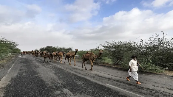 cyclone live, cyclone, cyclone biparjoy