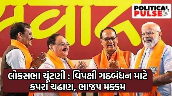 lok sabha election 2024, Election 2024, Lok Sabha Elections