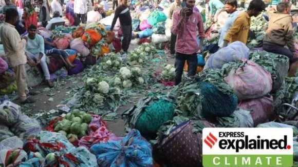 Vegetable market in Rajkot, Gujarat. (Express photo by Chirag Chotaliya)