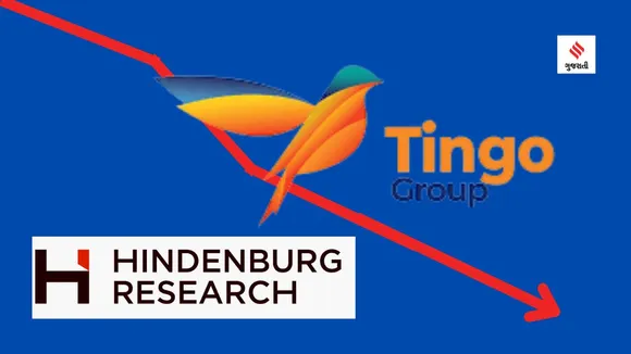 Hindenburg Tingo Group