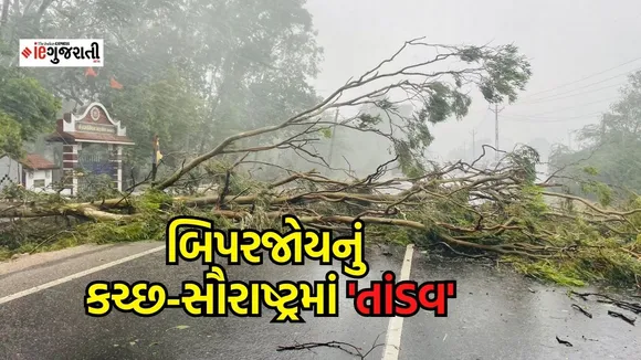 Cyclone Biparjoy Live News in Gujarati | Cyclone in Gujarat 2023 | Cyclone Biparjoy Tracker