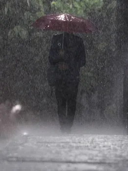 ભારતનું ચોમાસું