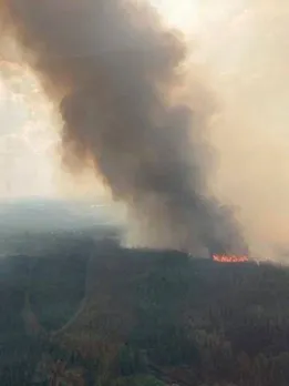 કેનેડા જંગલની આગ