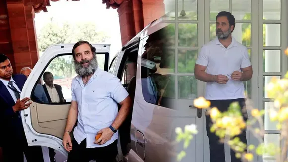 Rahul Gandhi Networth Earning Source Property Car Collection Money Investment Of Congress Leader On Birthday