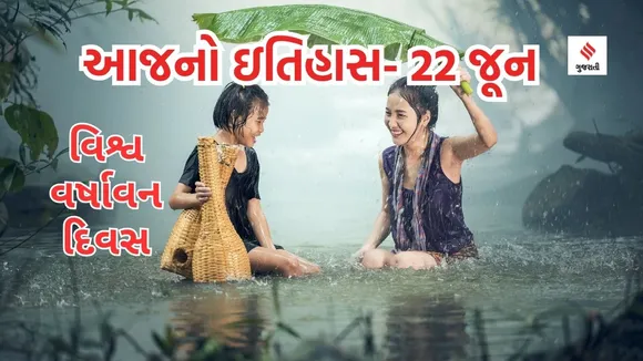 World Rainforest Day