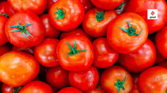 Tomato prices