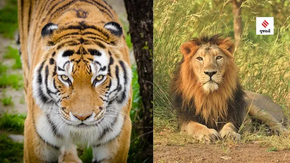 world tiger day | india national animal name | project tiger | asiatic lion