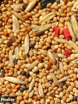 Health Benefits of Millets