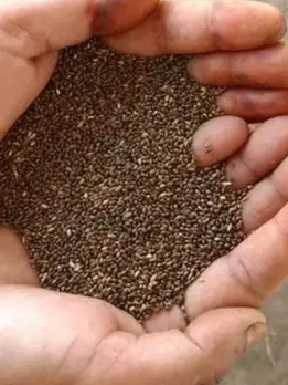 Health Benefits of Millets