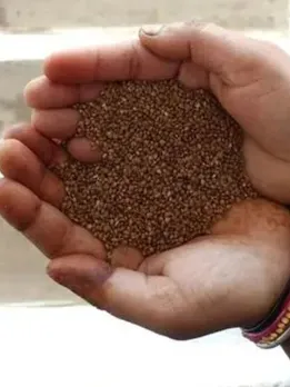 Health Benefits of Millets