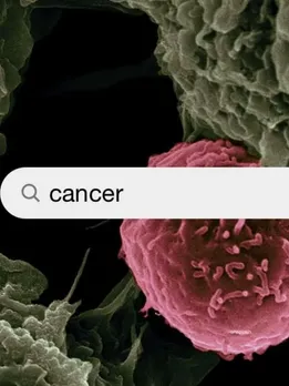 Sweet Potatoes For cancer (Unsplash)