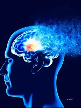 Sweet Potatoes For Brain (Unsplash)