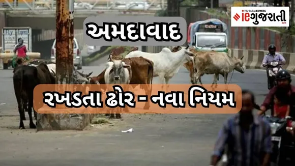 AMC | Stray Cattle Control Policy