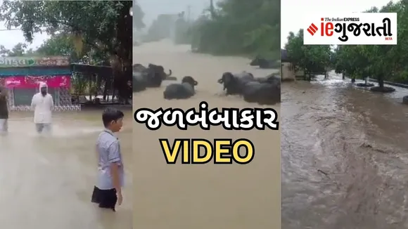 Gujarat Rain News Update