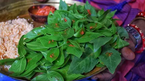 Sawan 2023, Sawan 2023 Puja, belpatra niyam