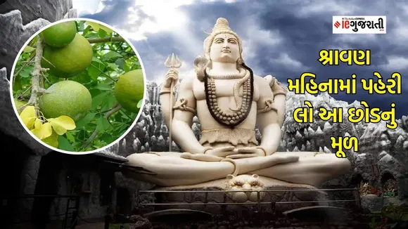 shravan maas vastu tips, shravan month, shravan maas upay