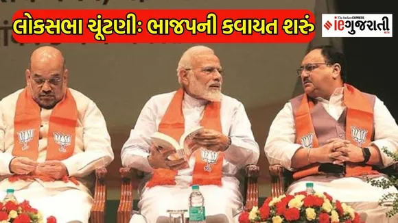 loksabha election 2023, BJP plane for loksabha election