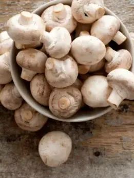 Health Tips : Benefits of mushrooms (unsplash)