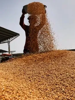 Wheat free diet (unsplash)