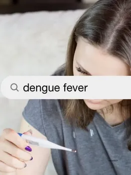 dengue fever: (unsplash)