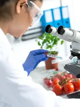 food research(unsplash)