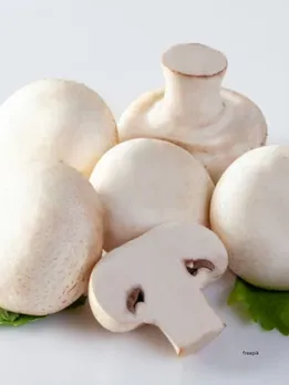 Health Tips : Benefits of mushrooms (freepik)
