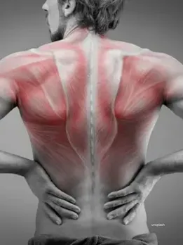 Health Tips : mushrooms for muscles health (unsplash)