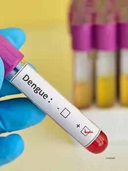 Dengue Cases : (unsplash)