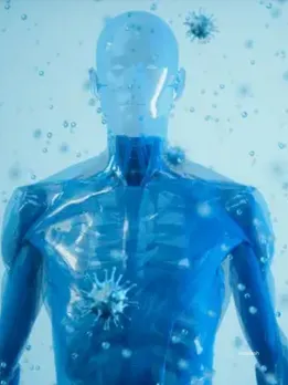 Health Tips : mushroom for immunity system (unsplash)