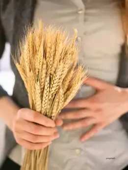 Wheat and digestion (unsplash)