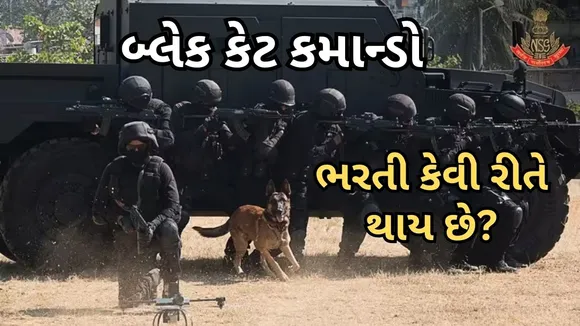 black cat commandos | recruitment