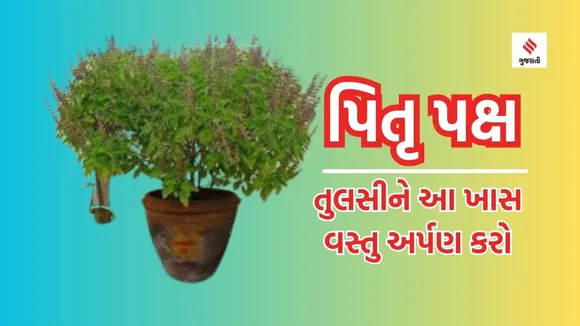 Pitru Paksha 2023 | Pitru Paksha tips | shradh Paksha 2023 | shradh Paksha tips | hindu panchang 2023 | Pitru tarpan in shradh Paksha