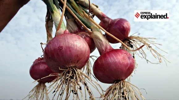 Onion | Onion Price | Onion Price hike | Onion Price Increase | inflation