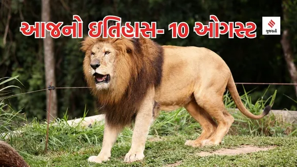 Today history | 10 august history | World Lion Day | Lion | git lion