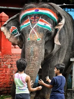 Independence day 2023, independence day celebration, india celebrates 77 years of independence,