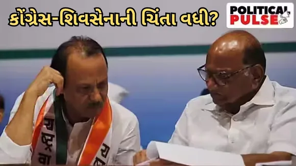 maharashtra politics lok sabha election 2024 MVA ajit pawar sharad pawar shivsena congress